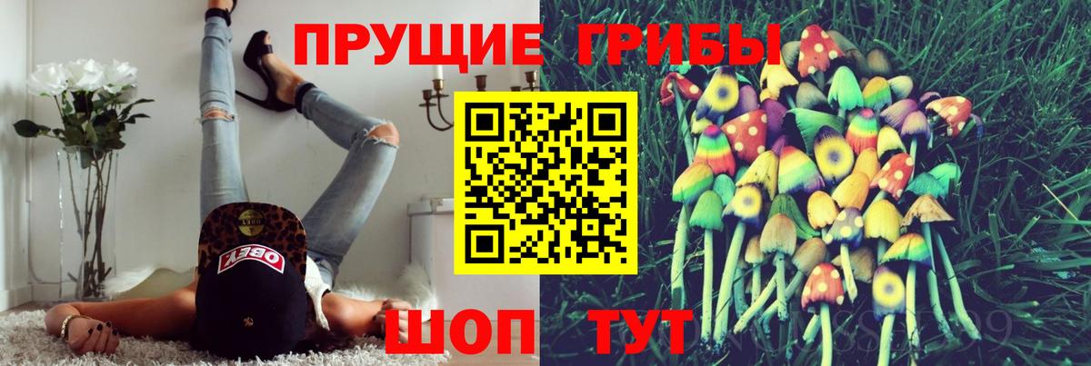 купить  цена  Галлюциногенные грибы Psilocybine cubensis  Вход с VPN  Куйбышев 