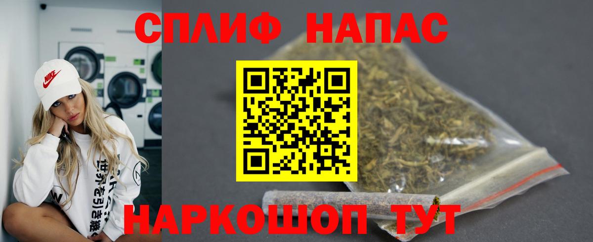 Канабис семена Куйбышев